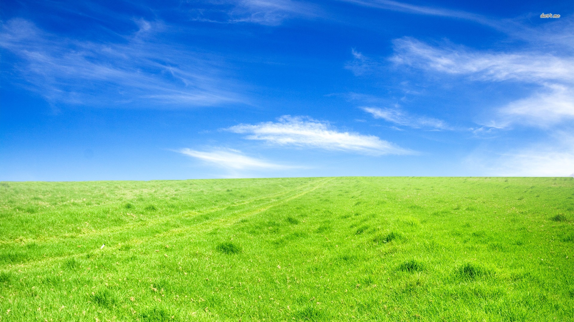 Best-Green-Field